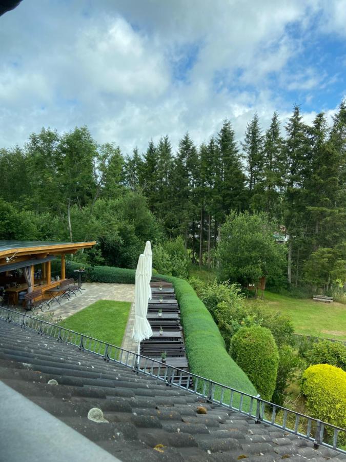 Hotel Haus Petra Stadtkyll Zewnętrze zdjęcie